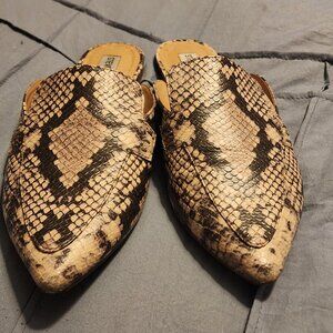 Steve Madden Mules